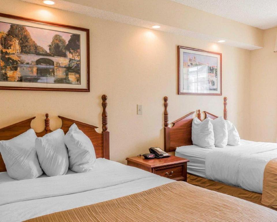 Rodeway Inn Sylacauga Hwy 280 Eksteriør billede